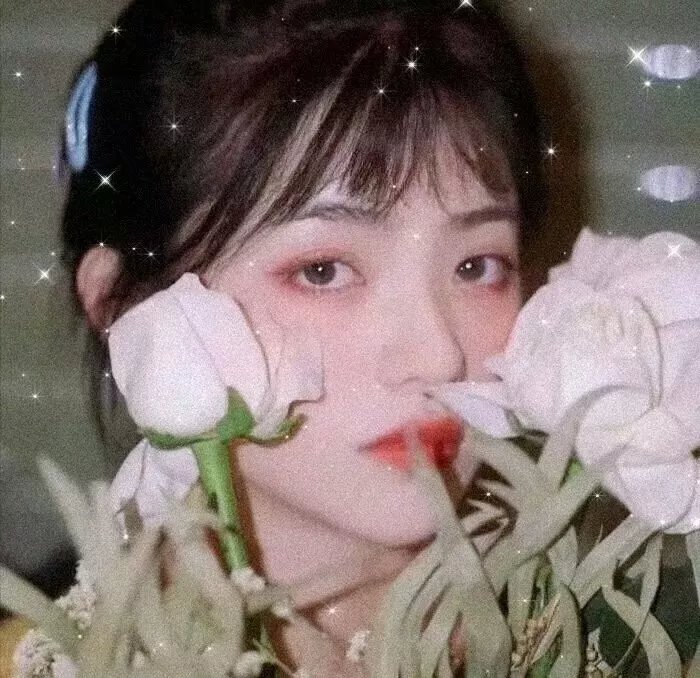 蕾拉